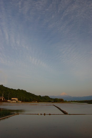 夕焼けに染まる富士山